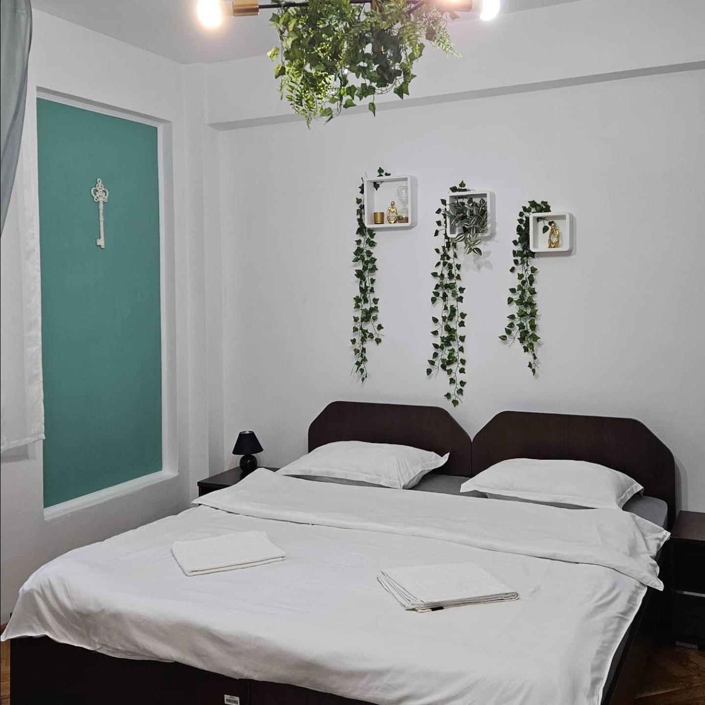 Apartment Zarnesti City Centre Vmp Free Parking 外观 照片