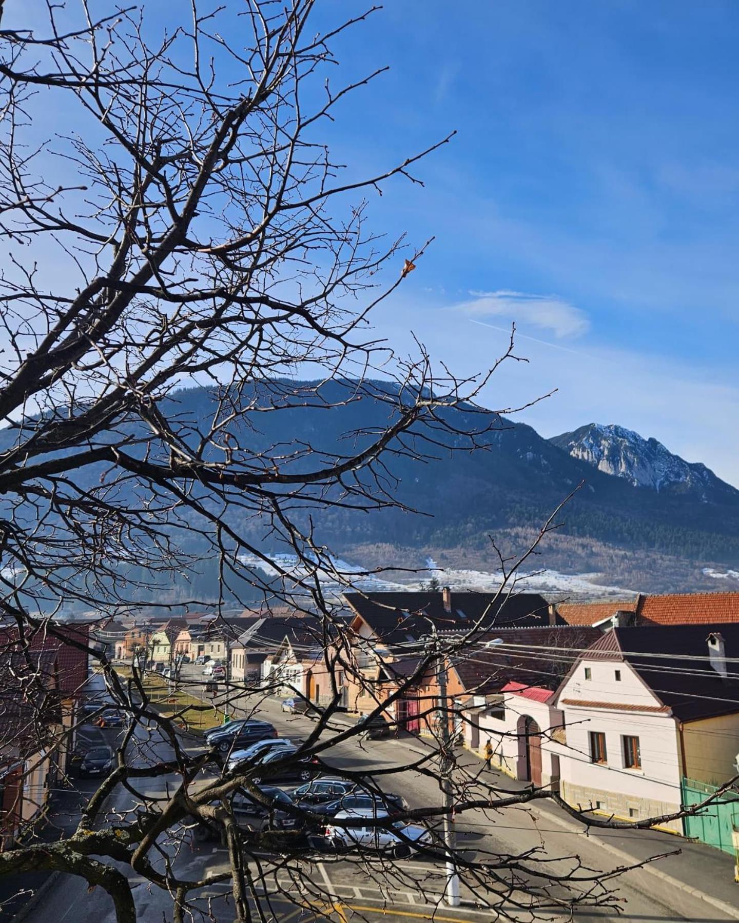 Apartment Zarnesti City Centre Vmp Free Parking 外观 照片